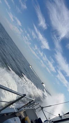 Sundayタチウオ‼️Seitaro‼️の記事動画