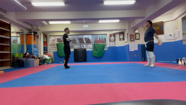 12/7 日曜日の記事動画