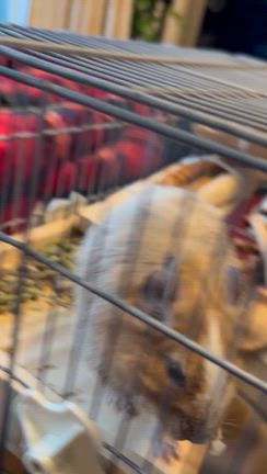 昨日のお話し　12月21日の記事動画