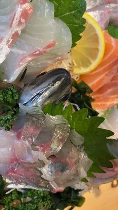 【夢向船】新鮮なお刺身ランチを喰べたかったらココ！！の記事動画