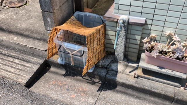 暑さ対策の記事動画