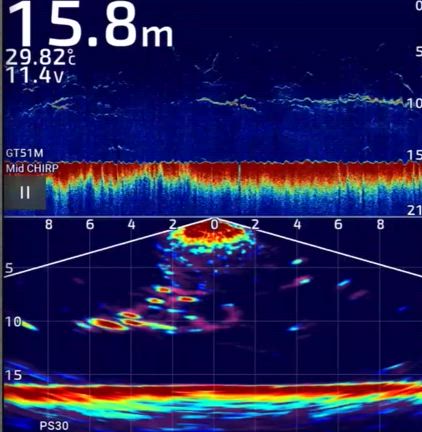 プラっと。の記事動画
