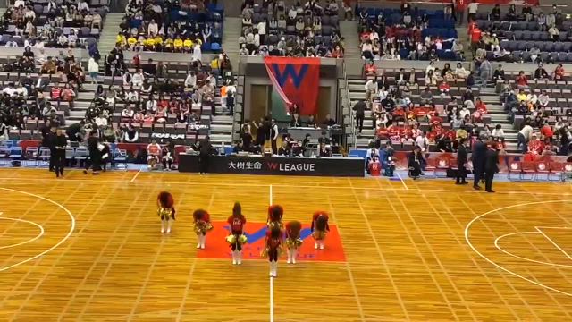 デンソーアイリス応援の記事動画