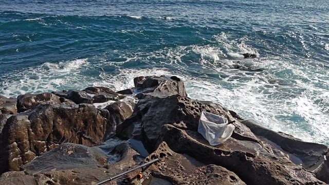 釣行２日目の記事動画