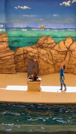 鳥羽水族館の記事動画