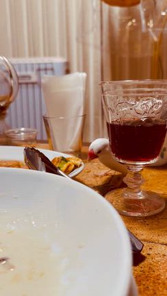 2026.3.10 Gelukのテーブルマナーの記事動画