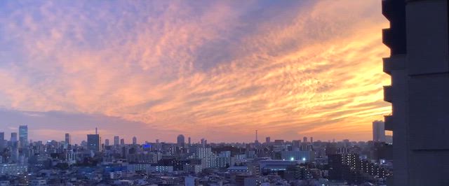 東京散歩at日本橋の記事動画