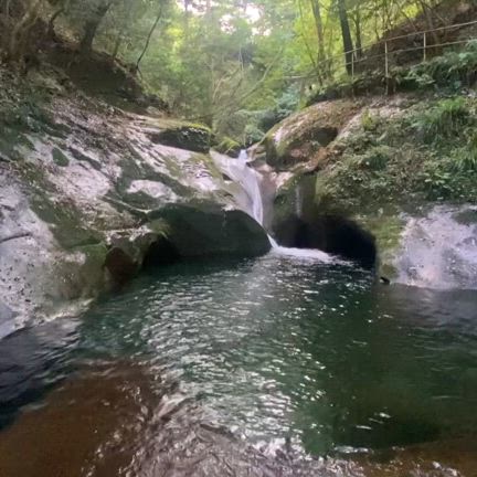 2025/07/22 渓谷散歩の記事動画