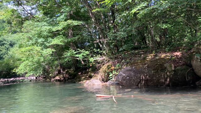 お盆の日帰りレジャー☆カヤックで涼！(≧▽≦)の記事動画