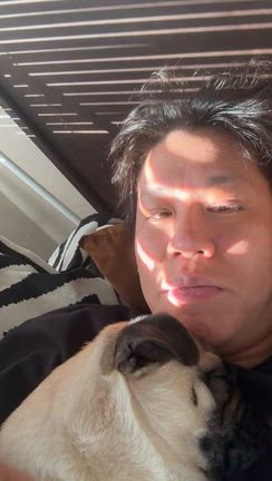 とりとめのない日々の記事動画