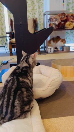 三連休はのんびりスタートしましたの記事動画