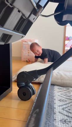 力尽きた…の記事動画