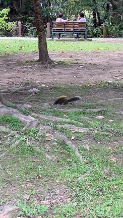 1週間の覚え書16  その2の記事動画