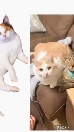 2026/02/22の記事動画