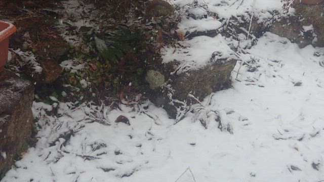 神様ありがとうそしての記事動画