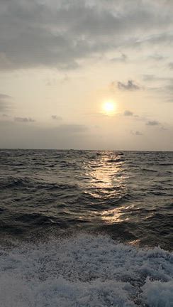 26日(月)募集中の記事動画