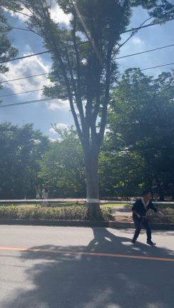 彩夏祭！志木の「笑輪」の応援へ！の記事動画