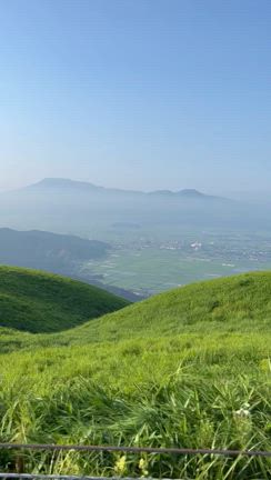 怒りと悲しみの感情しか湧いてこないソーラーパネルの異様さの記事動画