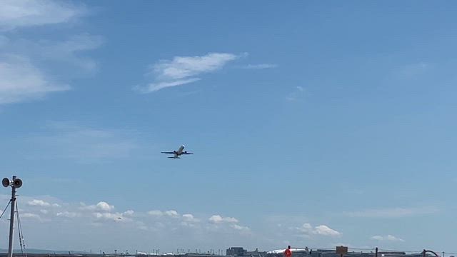 夏の音と空の音の記事動画