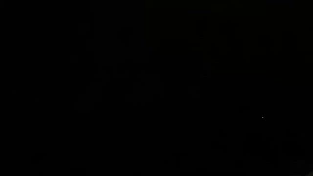 記念すべきホタルとの写真の記事動画