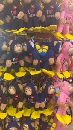 南国リゾート３泊４日サイパンの旅！絶景オーシャンビュー「クラウンプラザリゾートサイパン」♡の記事動画