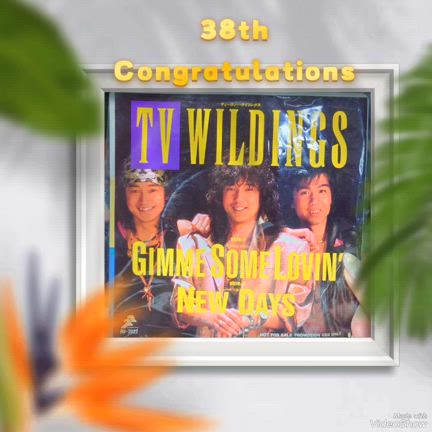 Debut 38th Anniversary♫の記事動画