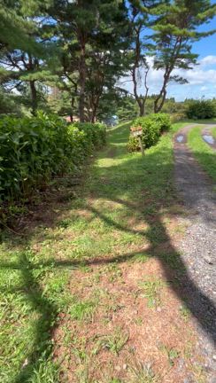 ひつじ放牧地３への行き方動画の記事動画