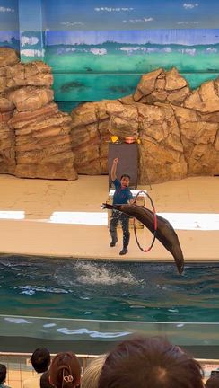 鳥羽水族館の記事動画