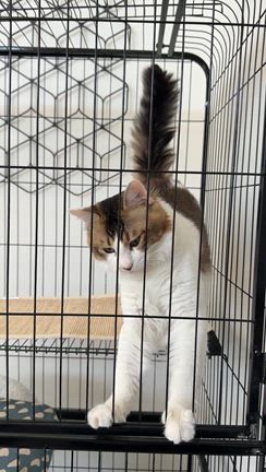 タツの母 タツの母さんのプロフィールページ