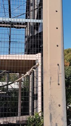 久しぶりの東山動植物園その➀の記事動画