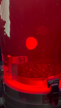 55年ぶりの万博の記事動画