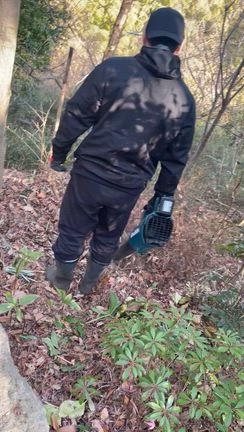 朝一番からガーデニングでたっぷりの朝食を‼️の記事動画