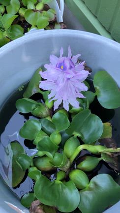 大変疲れた〜でも頑張りました^_^の記事動画