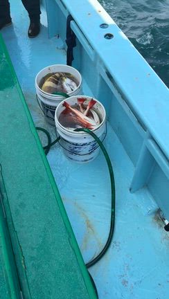 2月16日(月)  ボコボコお土産確保の記事動画