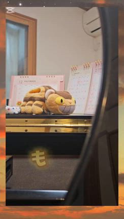 「アクセサリー」と「もみじ」♪の記事動画