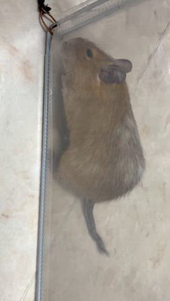 昨日のお話し　11月13日の記事動画