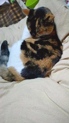 2025/05/04(日)　開店休業な一日の記事動画