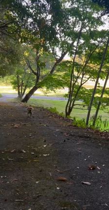 べるも幸せの記事動画