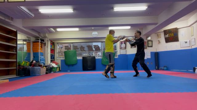 12/7 日曜日の記事動画