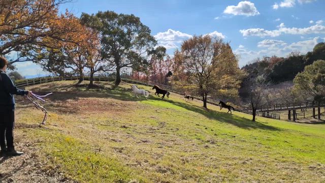 放牧dayでしたの記事動画