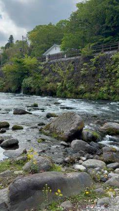 日光の旅行きました。ビジネス合宿への参加、社寺めぐり＆散策の記事動画