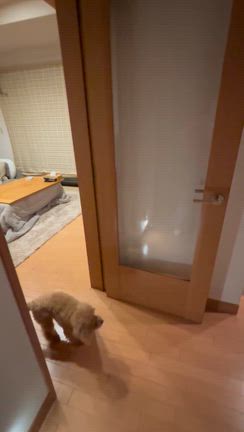 2026節分の記事動画