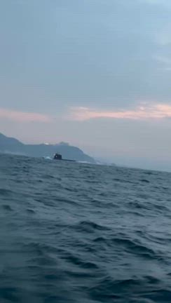 2/1の39丸の記事動画