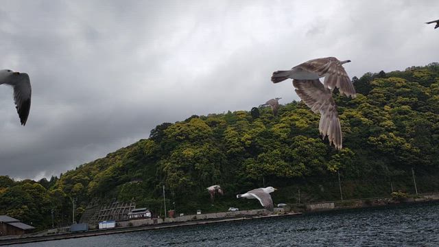 【2025年】お誕生日旅行 京丹後1泊2日①の記事動画