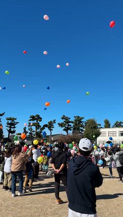 福岡小学校　フェス参加しましたの記事動画