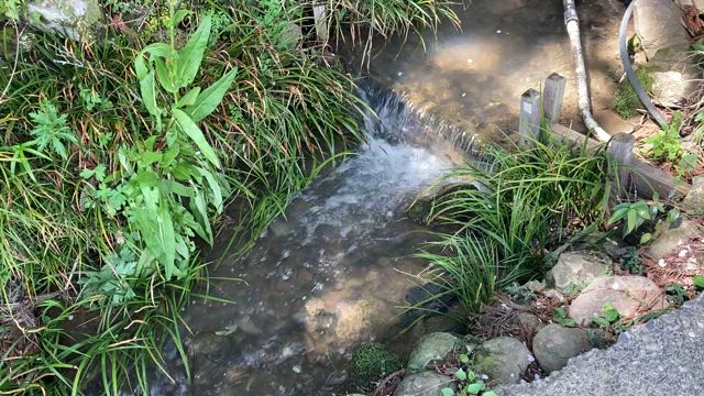 三山ひろしさん 575 朝ドラ あんぱん！③の記事動画