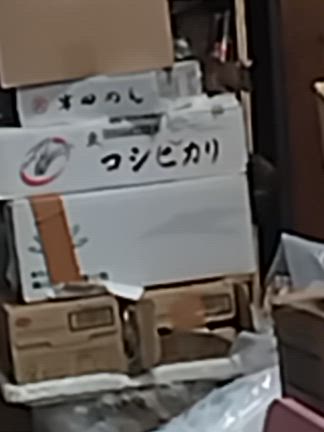 ！！！閲覧注意！！！かの者たちの動画の記事動画