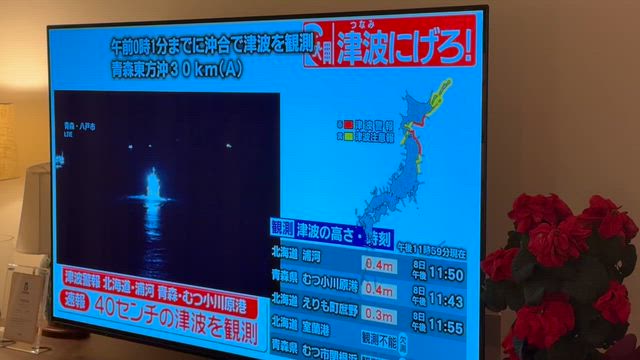 地震にかんするニュースにイライラするの記事動画