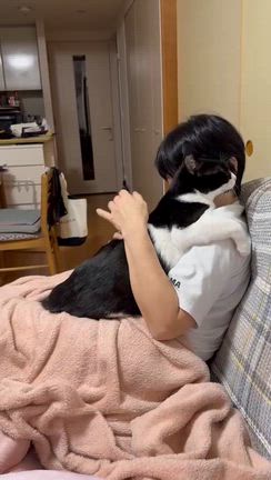 年末に…の記事動画