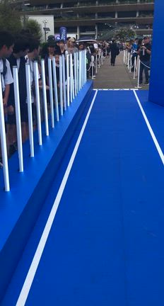 世界陸上の記事動画